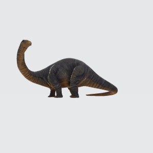 Apatosaurus 3D Model