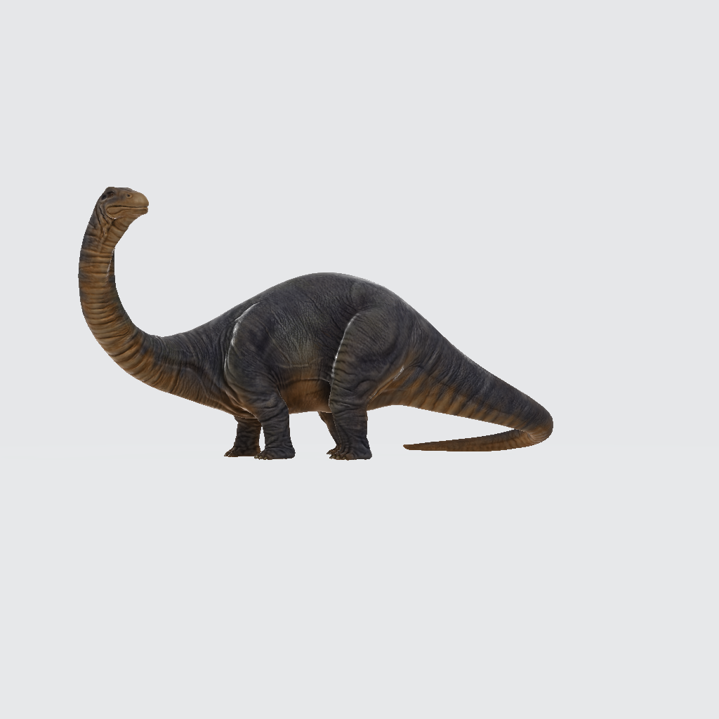 Apatosaurus 3D Model