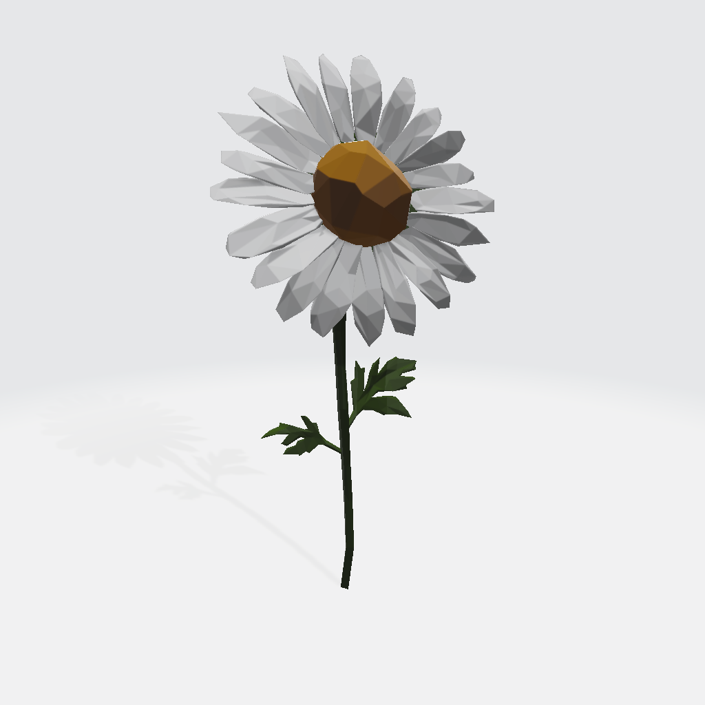 Daisy - low poly