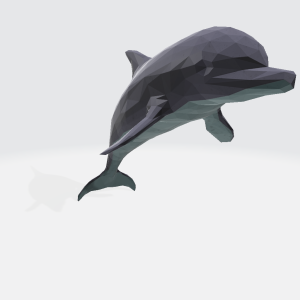 Dolphin - low poly