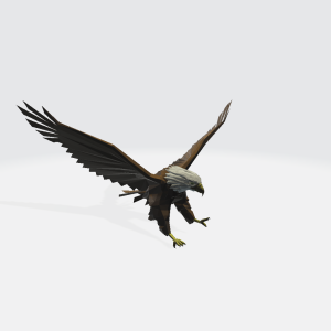 Eagle Landing - low poly