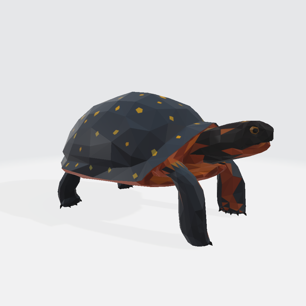 Tortoise Low Poly 3D Model Free Download