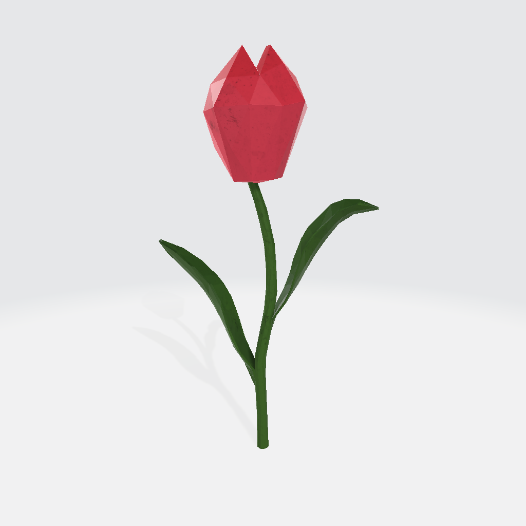 Tulip 3D Model