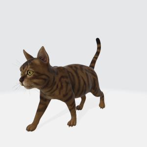 Cat 3D Model
