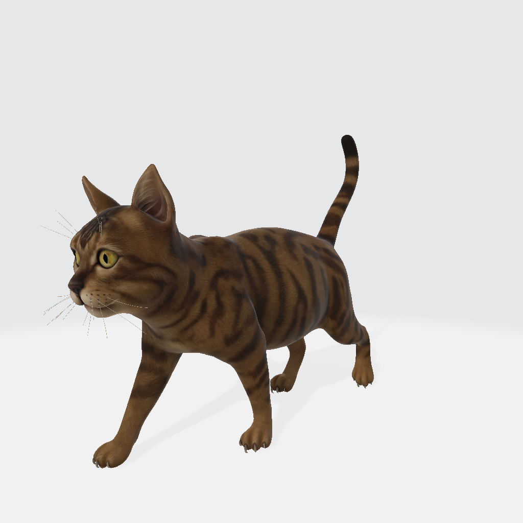 Cat 3D Model