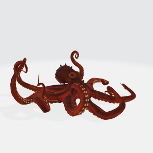 Octopus 3D Model