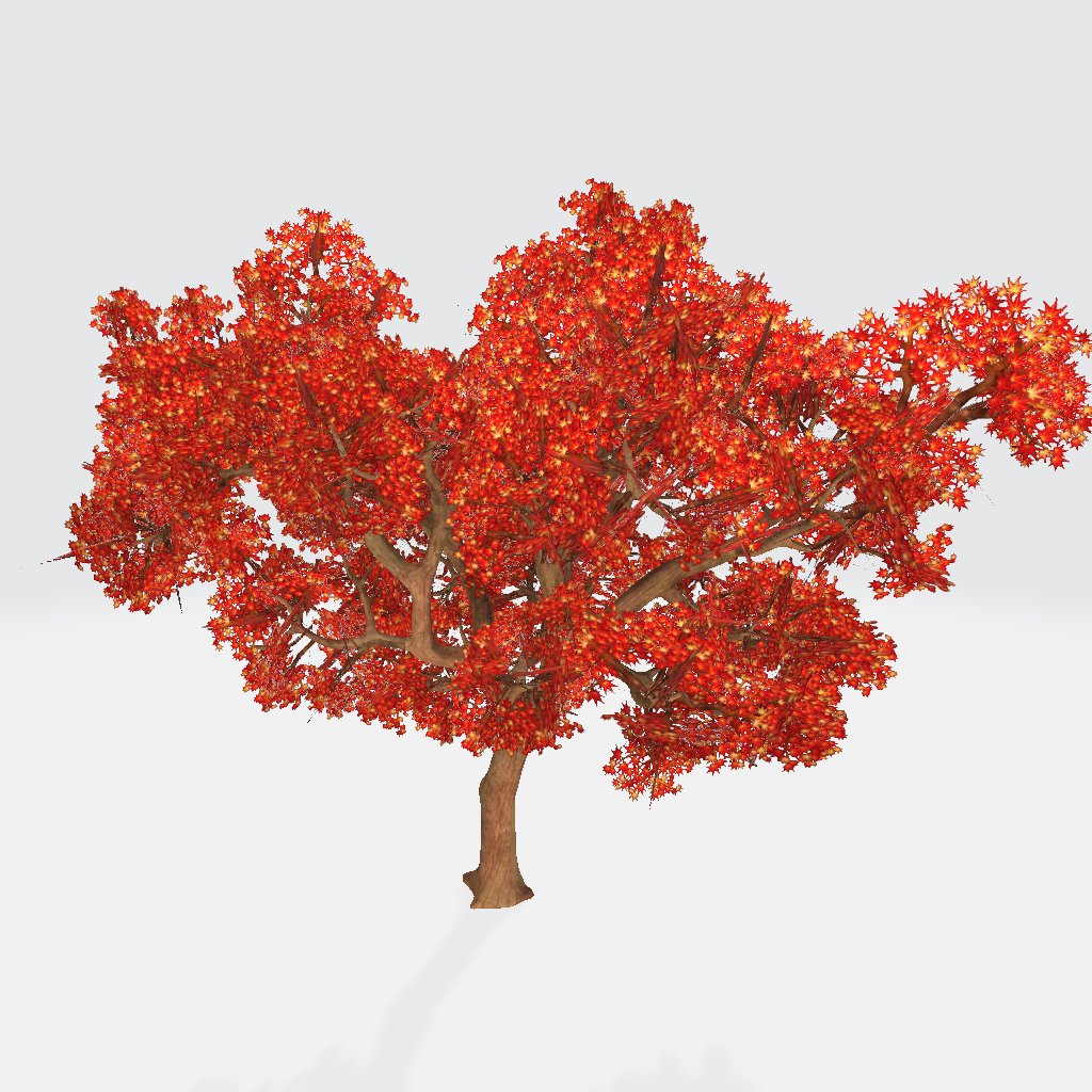 Japanese Red Maple Tree 3D Model