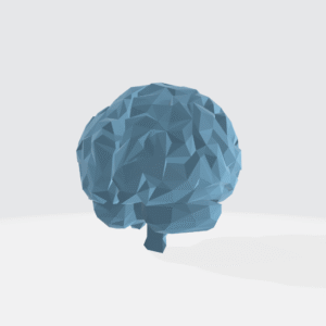 Brain
