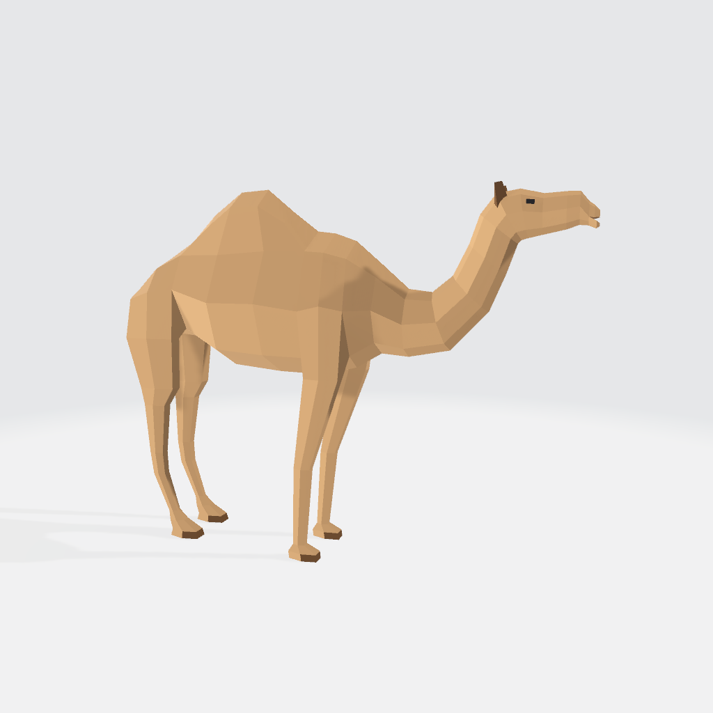 Camel