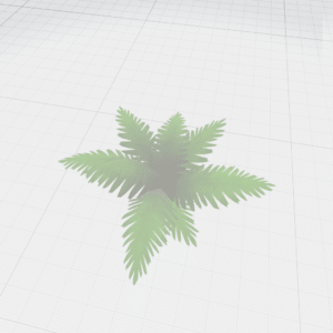 Fern