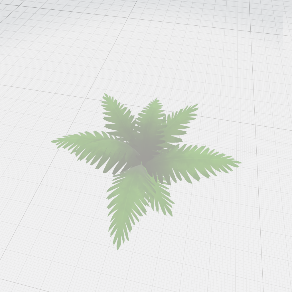 Fern