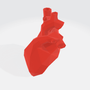 Heart
