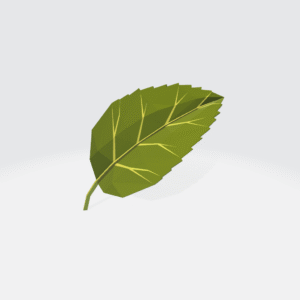 Leaf