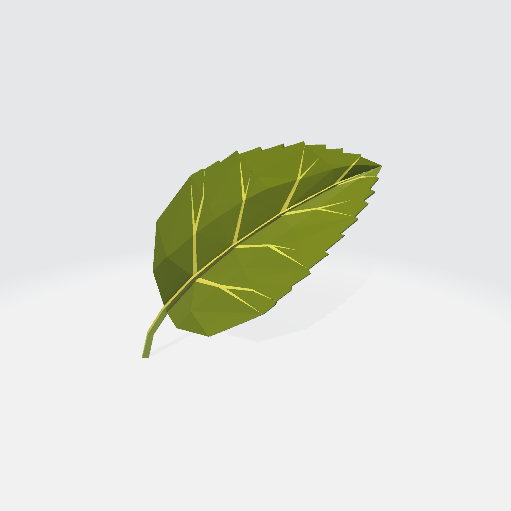 Leaf