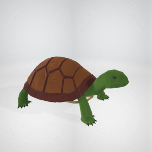 Turtle