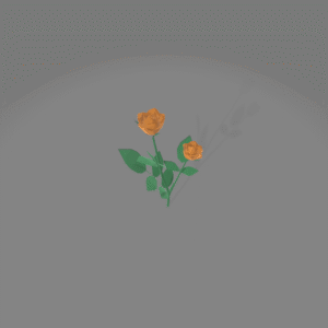 rose