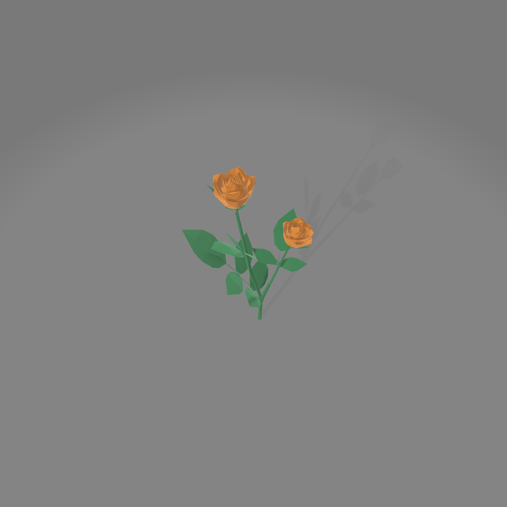 rose