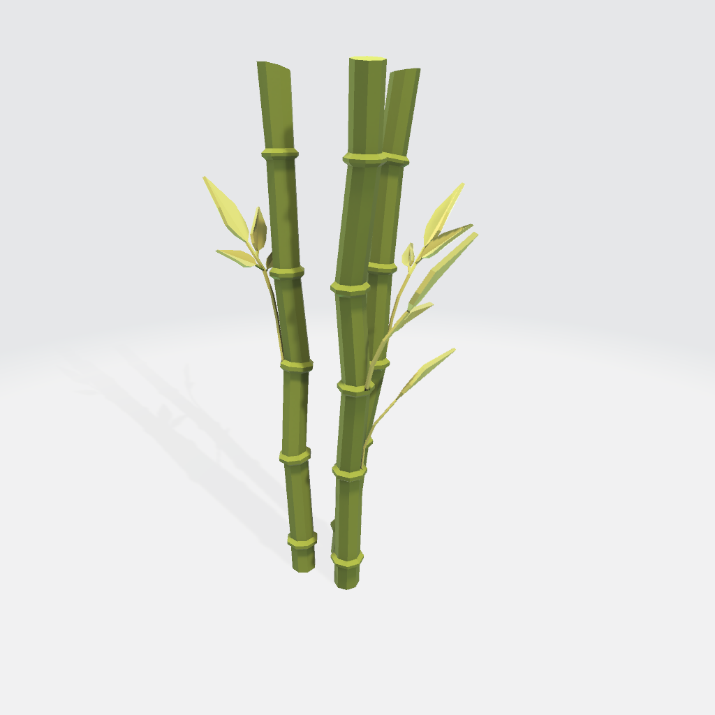 Bamboo