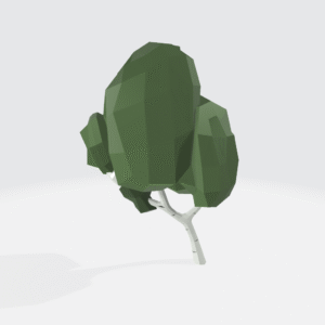 Birch Tree
