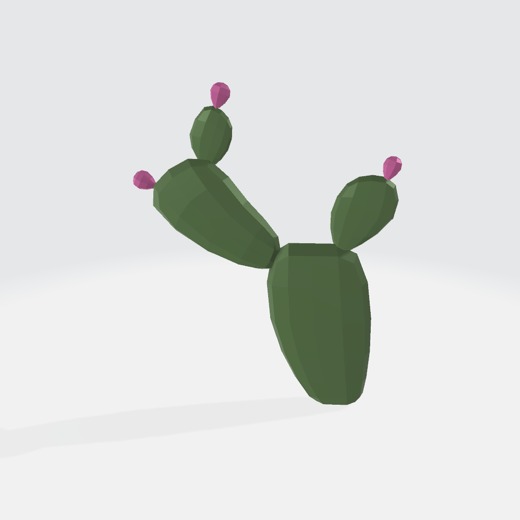 Cactus Flowers