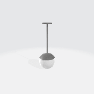 Ceiling Light