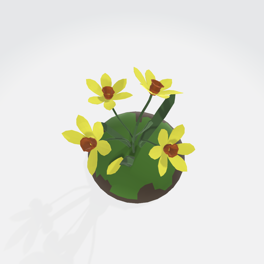 Daffodil