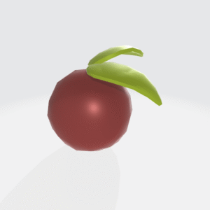 Fruit