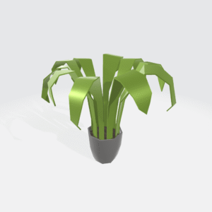 Houseplant