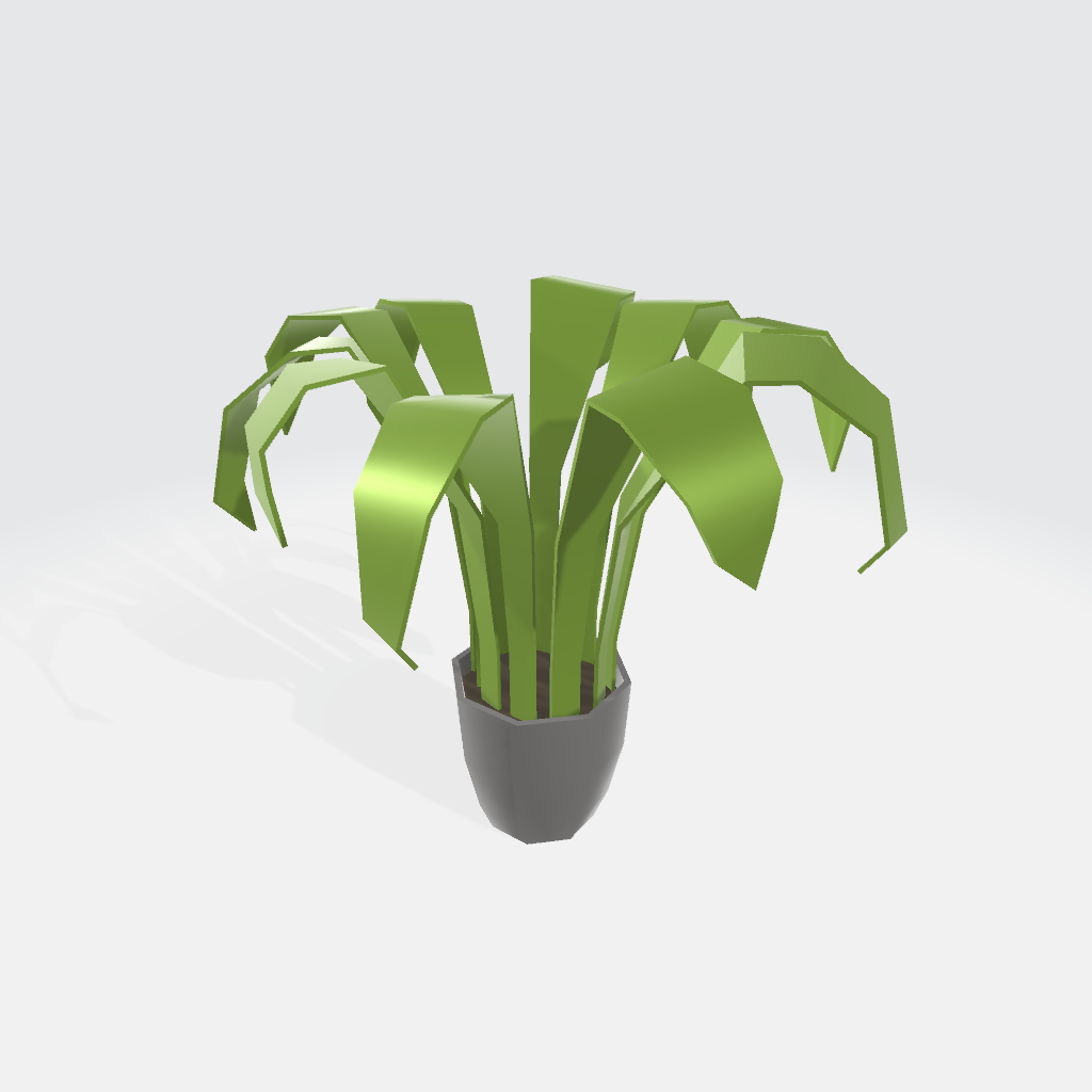 Houseplant