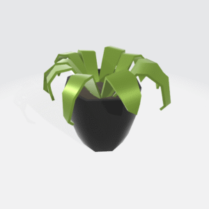 Houseplant (1)