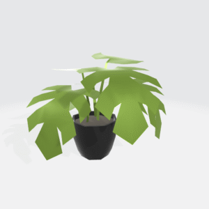 Houseplant