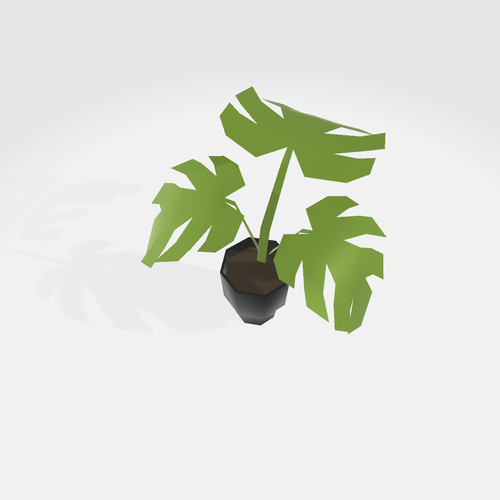 Houseplant