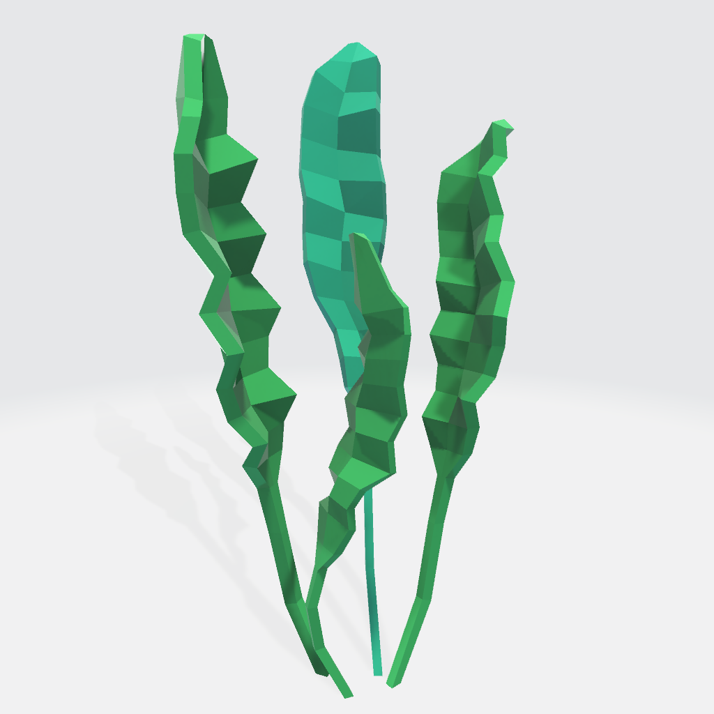 Kelp