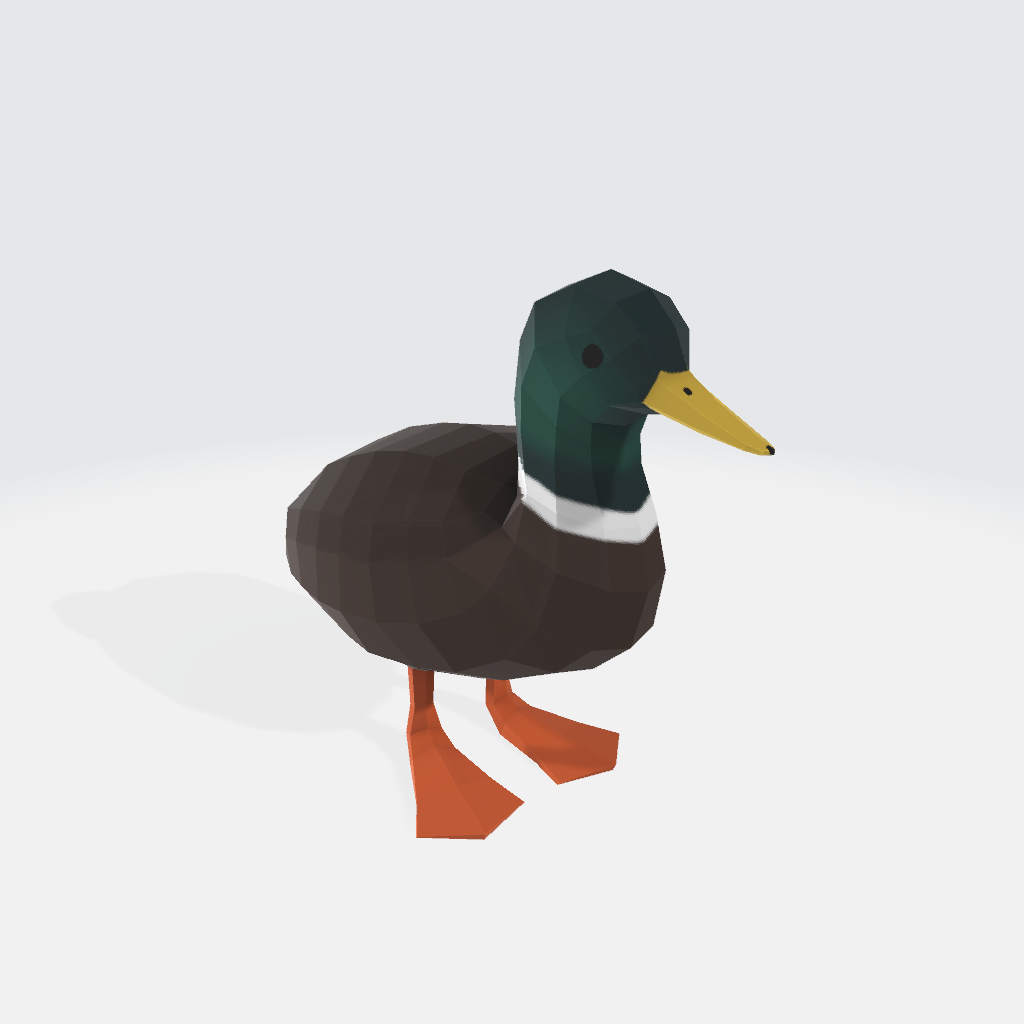 Mallard duck