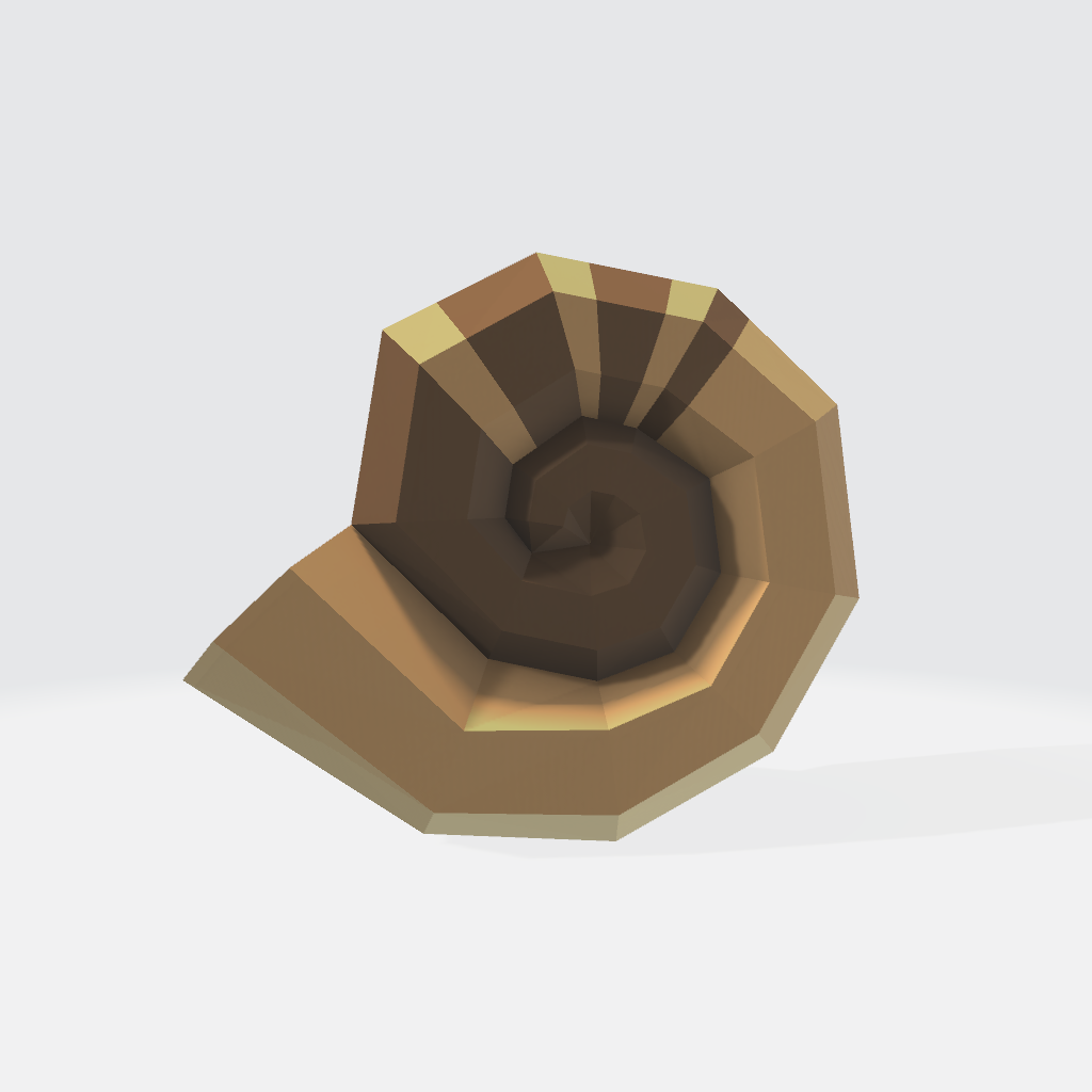 Nautilus shell