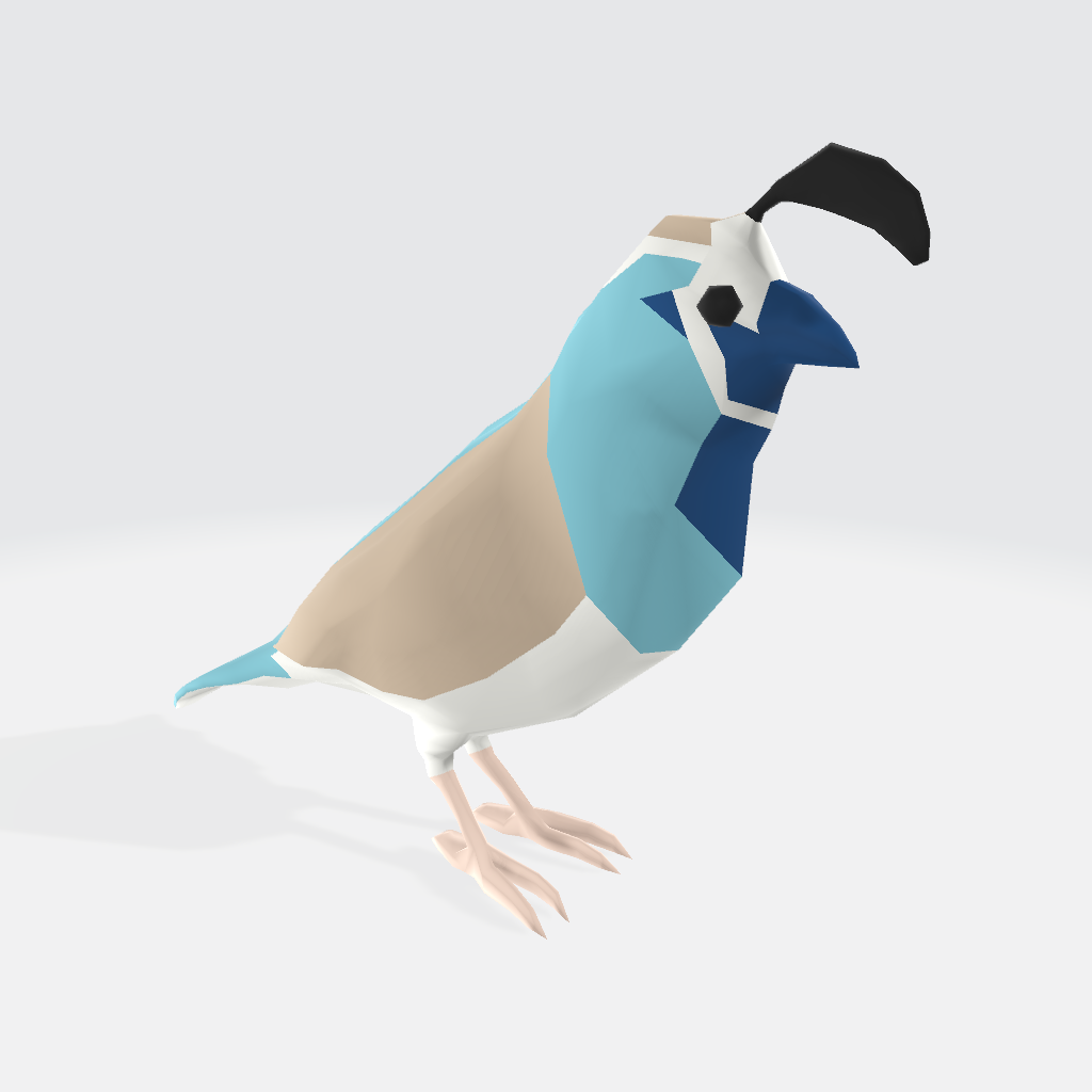 Quail