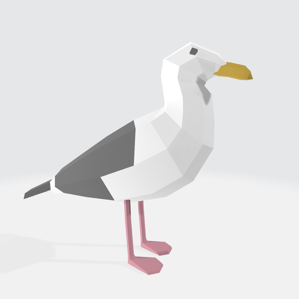 Seagull