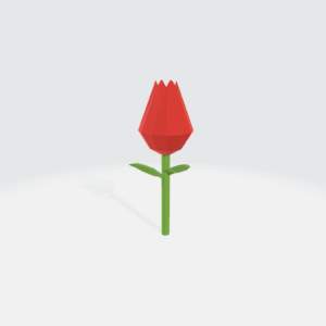 Tulip