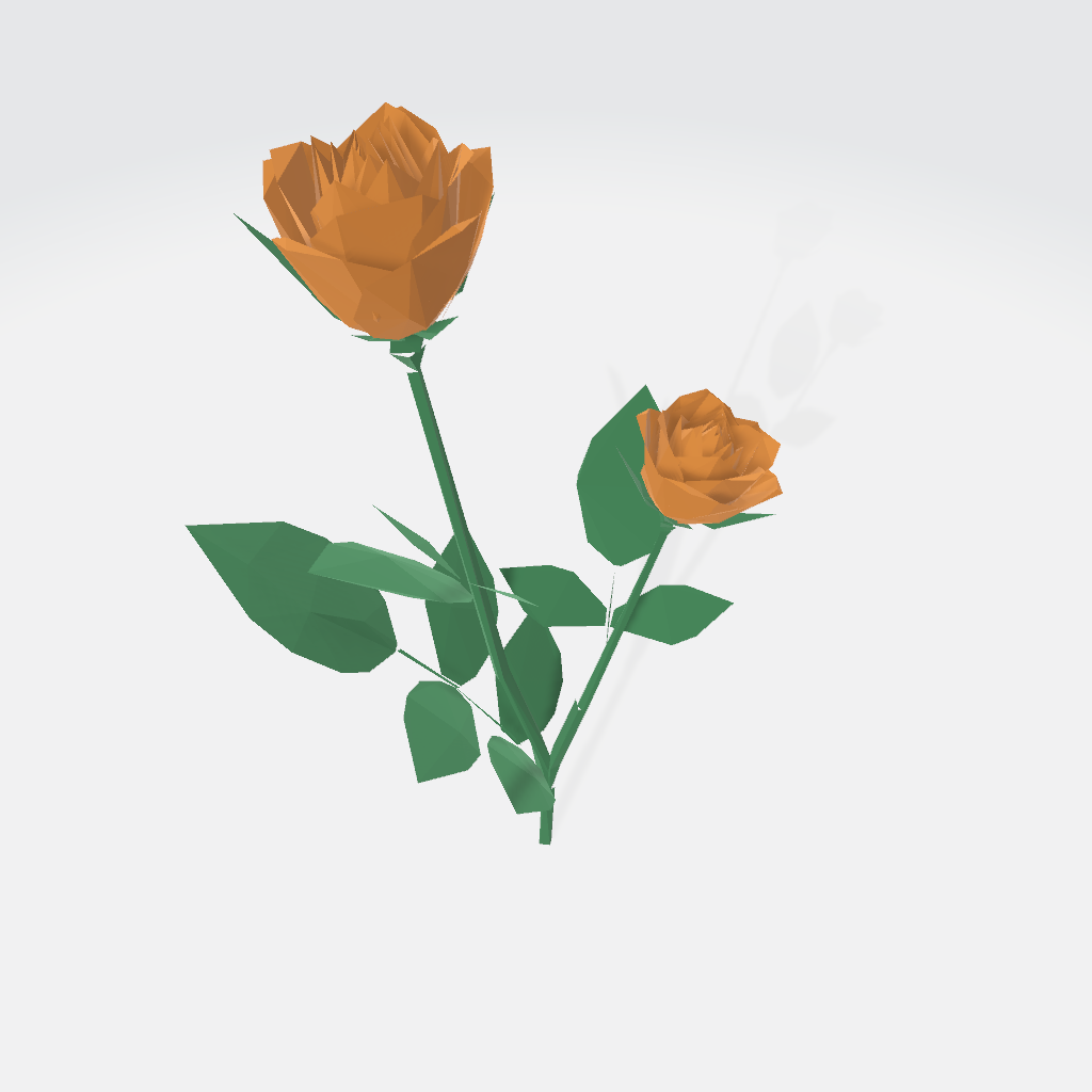 rose (3)