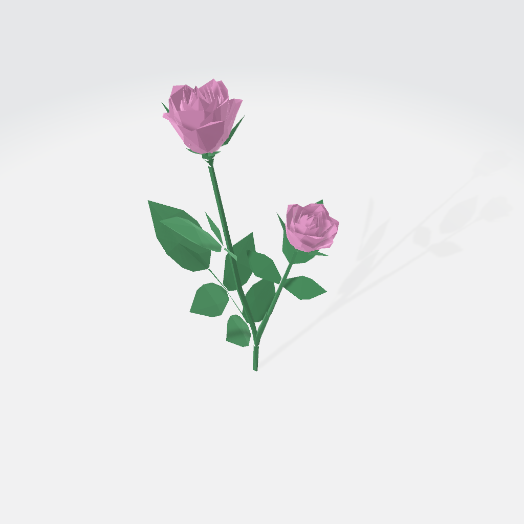 rose