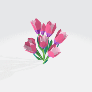 tulip