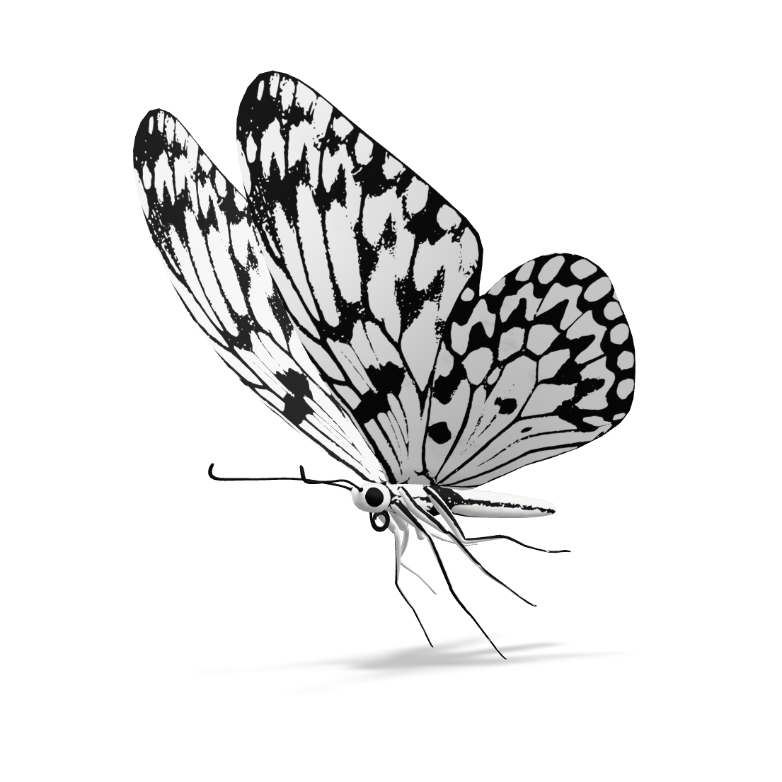 Animated Monarch Butterfly 3D Model