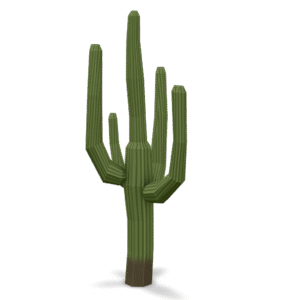 Stylized Saguaro Cactus 3D Model