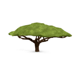 Stylized Low Poly Tree 3D Model