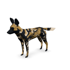 Low Poly Wilddog 3D Model