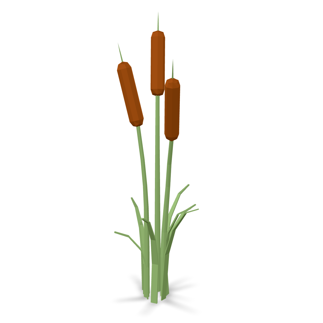 Low Poly Cattails 3D Model
