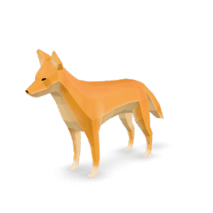 Low Poly Coyote 3D Model