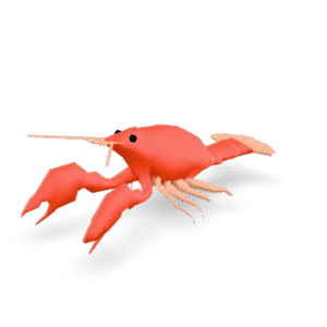Simple Lowpoly Crawfish 3D Model