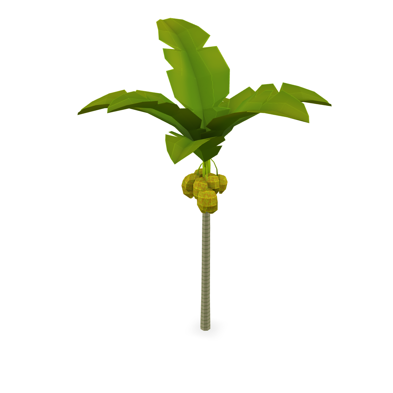 Stylized Coconut Palm 3D Model