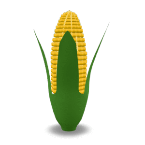Stylized Corn Cob 3D Model